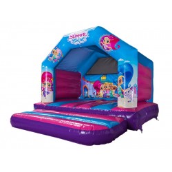 Bouncy Castle Bouncy Castle