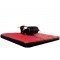 Toro Gonfiabile